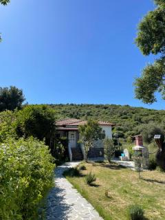 Villa Alexandros - Amolianí - 0