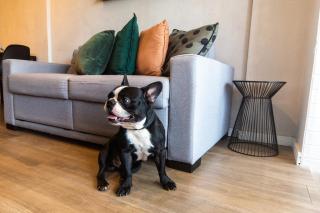 Flat Soho frente na praia de Boa Viagem - 3