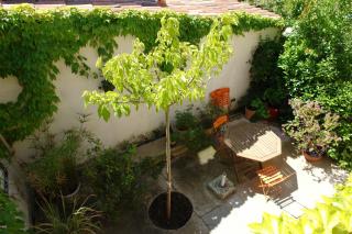 Chambre donnant sur jardin - Nimes - 6