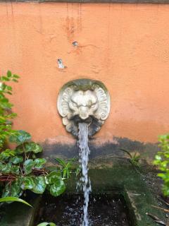 Home Rent Mancini - Rome - 8