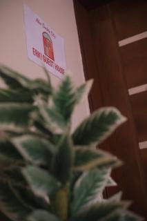 Erki Guest House - Abu Simbel - 7