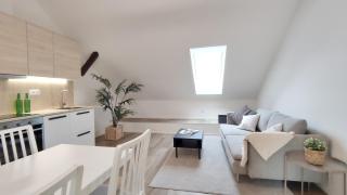 Sofie - Brno - 0