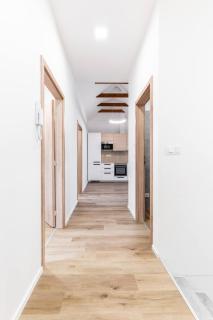 Sofie - Brno - 1