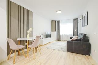 Himson-Grey Apartment - Iaşi - 6