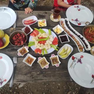 ida bay doğa evleri - Edremit - 7