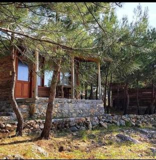 ida bay doğa evleri - Edremit - 3