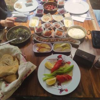 ida bay doğa evleri - Edremit - 1