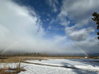 Yukon Log Cabin - Upper Laberge - 9
