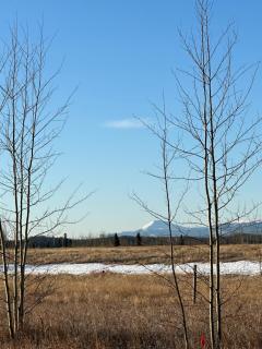 Yukon Log Cabin - Upper Laberge - 8