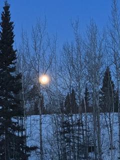 Yukon Log Cabin - Upper Laberge - 3