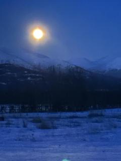 Yukon Log Cabin - Upper Laberge - 1