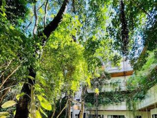 Penthouse familiar con alberca - Tulum - 3