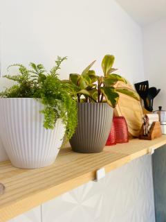 Vila Eco Mobili - 3