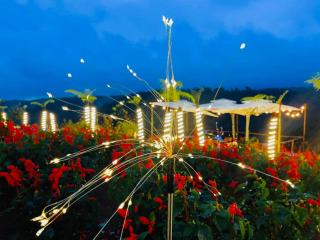 Việt Úc Flower Garden - Kon Von Kla - 3