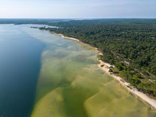 Maison neuve climatisée, 8 pers, proche plages, surf, Wi-Fi, terrasse, parking, ménage inclus - FR-1-319-526 - 4