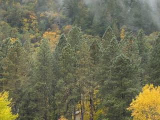 River's Edge Retreat / Close I-5 - Gold Hill - 7