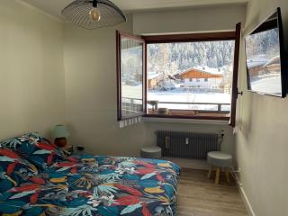 Résidence Bois du Bouchet, appartement vue montagne, calme, parking gratuit, proche centre - Chamonix - 5