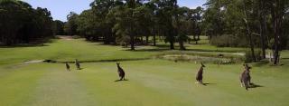 Fairway to Heaven - Sussex Inlet - 4