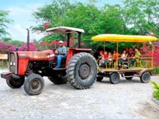 Pousada Fazenda Santa Fe - Bezerros - 2