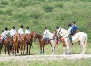 Pousada Fazenda Santa Fe - Bezerros - 5