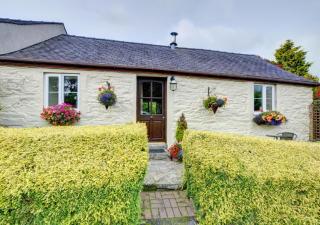Owl Cottage - Llanerchymedd - 0