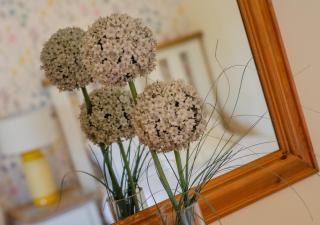 Owl Cottage - Llanerchymedd - 1