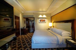 Sheraton Grand Pune Bund Garden Hotel - Pune - 4