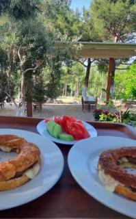 İda bay bungolow - Edremit - 9
