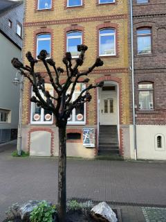 Good times in St. Goar (Mit Fahrrad-Keller) - Sankt Goar - 7