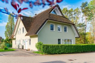 Seegras - Zingst - 7