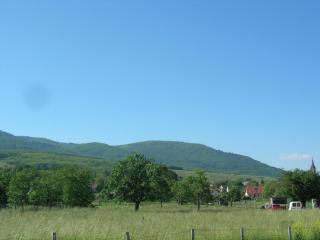 Appartement Alsace Porte des Vosges - Cernay - 3