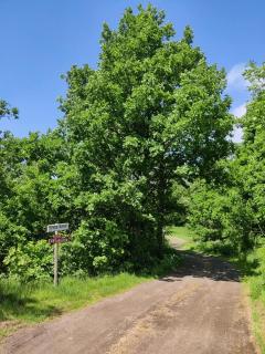 Roppestad fristrand - 8