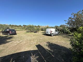 Casa 248 con ampio giardino a Calasetta - Calasetta - 7
