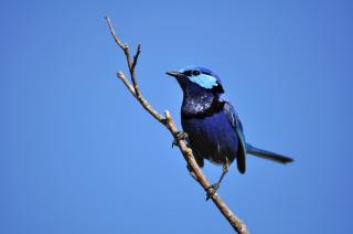 Big Brook Retreat - 6