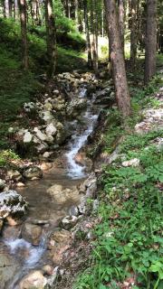 Ferienwohnung Doffenmühle - Marktschellenberg - 5