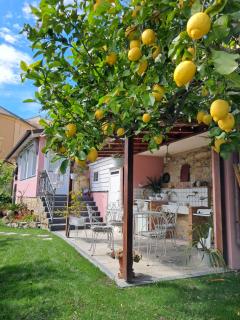 Florinda Lemon's Suite - Cervo - 5