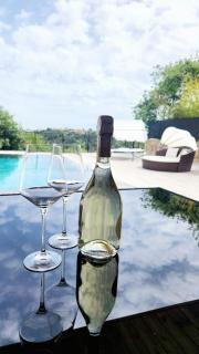 Villa Alina, un havre de paix - Cagnes-sur-Mer - 6