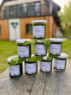 Pod Berdem - Wetlina - 4