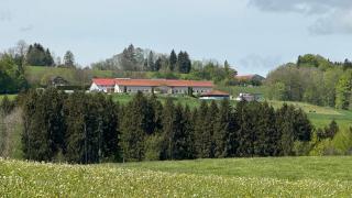 Gut Buchenhof - Buchenberg - 7