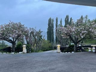 Mels Retreat - Te Kuiti - 1