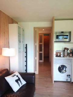 La marmotte: Vue Mont Blanc, terrasse, parking - Combloux - 1