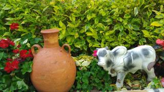 Casa Shalom R.G. - 9