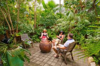 Serenity - Picnic Bay - 4