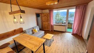 Boutique Hotel and Apartments Pension Sternen - Todtmoos - 5