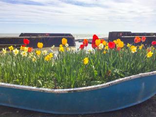 Harbour View - Johnshaven - 9