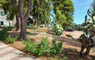 1 Bedroom Gorgeous Apartment In Vieste - Vieste - 1
