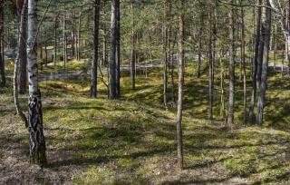 2 Bedroom Cozy Home In Yngsjö - Yngsjö - 8