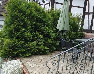 Apartaments Am Schloß - 8