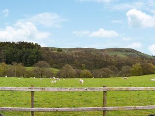 Seren - Abbey-Cwmhir - 2