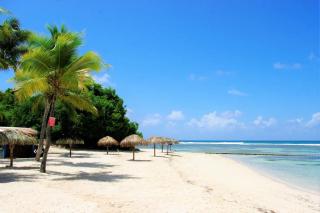 Studio Ananas Anse des rochers - 9